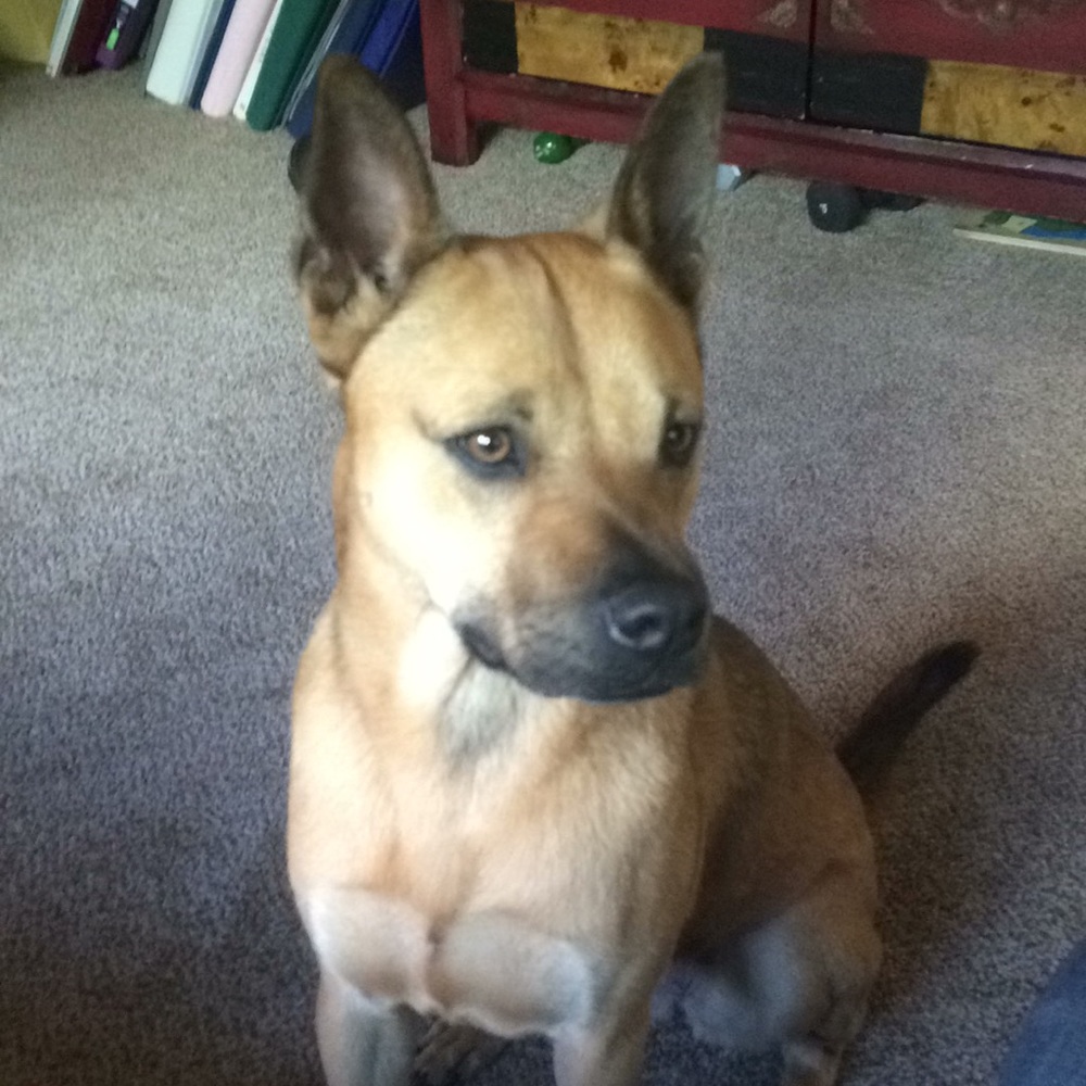 Meet your Posher, Anna